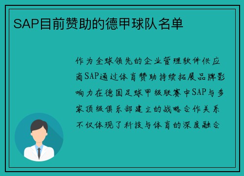 SAP目前赞助的德甲球队名单